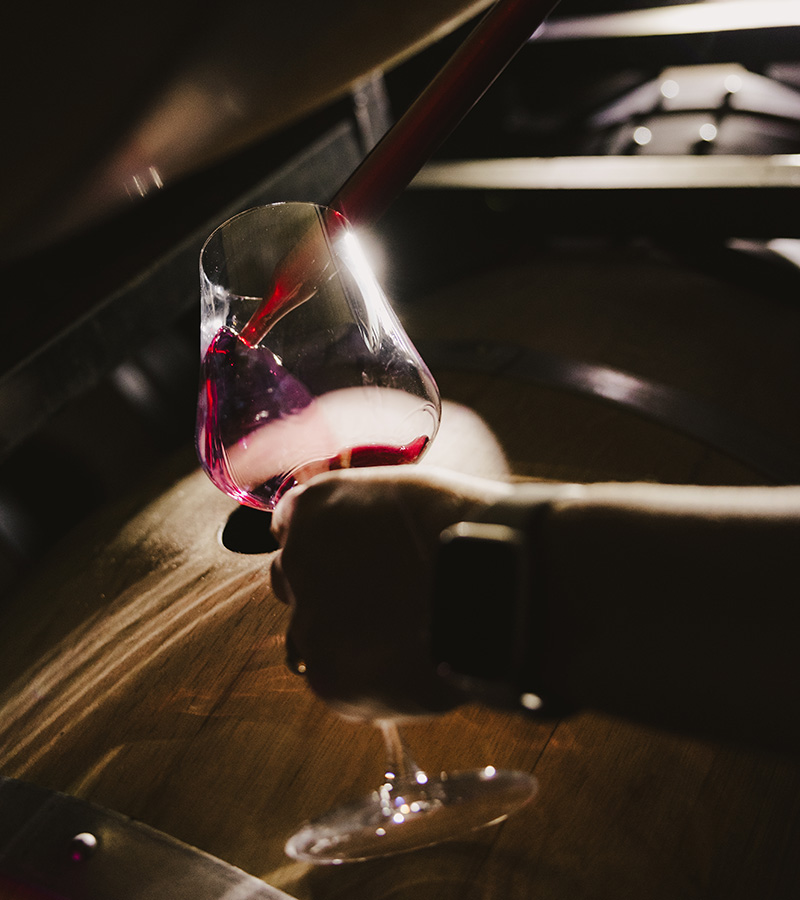 Person pouring red wine into a glass from a wine thief